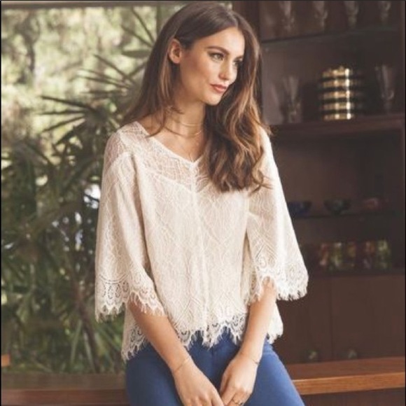 Ella Moss Amara Lace Top - Picture 1 of 8